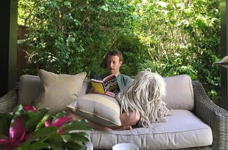 Mark Zuckerberg tenu personnellement responsable des pillages de livres par l'IA | La Biblioth&egrave;que de l'&Eacute;cole nationale des chartes-PSL vous accompagne dans la pr&eacute;paration aux concours | Scoop.it