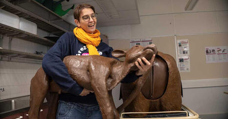 El&auml;inl&auml;&auml;k&auml;ri aikoi jo k&auml;ytt&auml;&auml; nokkapihtej&auml;, kunnes tapahtui jotain erikoista &ndash; nyt Iisalmessa opitaan el&auml;inten k&auml;sittely&auml; | Pohjois-Savo | Yle | 1Uutiset - Lukemisen t&auml;hden | Scoop.it