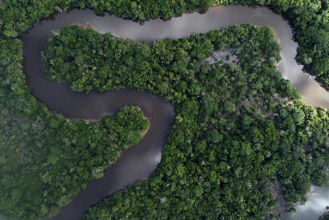 Amazon Rainforest Could Reach Tipping Point By 2050 Due To Deforestation, Drought And Fires | IBTimes UK | Agents of Behemoth | Scoop.it