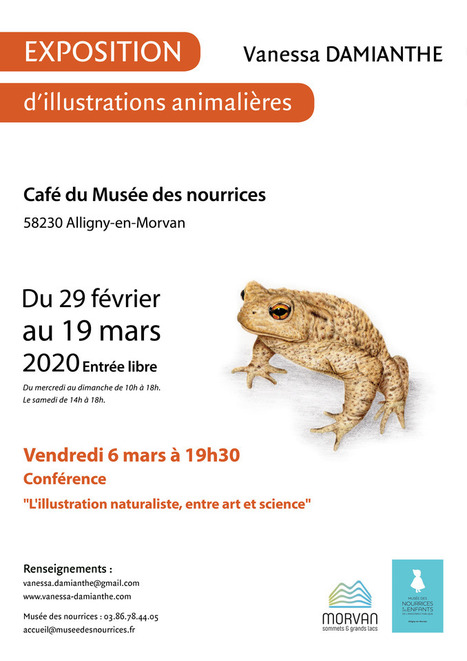 Exposition d’illustrations animalières de Vanessa Damianthe : du 29 février au 19 mars 2020 | Variétés entomologiques | Scoop.it