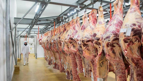 Dans l’Ouest, les abattoirs publics se rebiffent | Actualité Bétail | Scoop.it