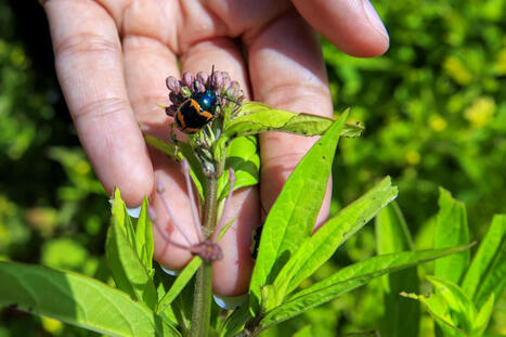 L’argent et le bonheur | Est-ce que nos placements détruisent le monde ? | Pour une gouvernance créatrice de valeurs® | Scoop.it