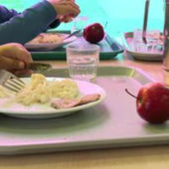 "Des effets dévastateurs pour le cerveau des enfants" : pourquoi ces villes choisissent de retirer le thon des cantines scolaires | Nouvelle-Aquitaine | Scoop.it