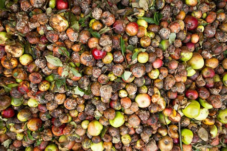 Wealthy countries waste the most food per person, but less affluent nations are catching up - Scimex | Industry 411 - Waste Management | Scoop.it