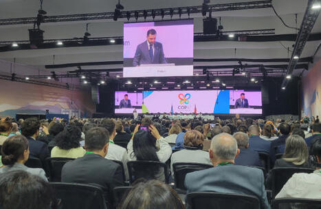 Carnet de la Cop17 : La FRB vous tient inform&eacute;s | Regards crois&eacute;s sur la transition &eacute;cologique | Scoop.it