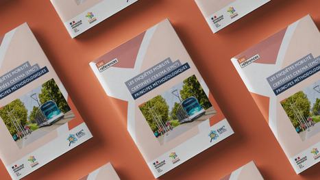 Grande enquête mobilité du SYTRAL | Regards croisés sur la transition écologique | Scoop.it