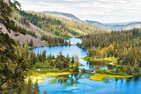 Tourists Worried As One Of California's Most Popular Mountain Towns Suffers A Deadly Virus Outbreak | Industry 411 - Waste Management | Scoop.it