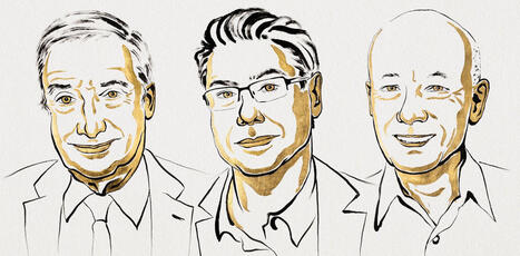 STRATEGY: The 2025 Nobel economics prize honours economic creation and destruction | STRATEGIES | Scoop.it