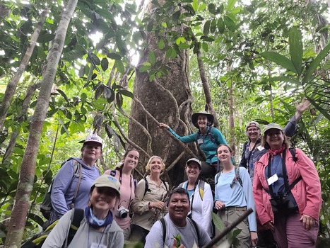 Learn more about our work.&nbsp;&nbsp; | RAINFOREST EXPLORER | Scoop.it