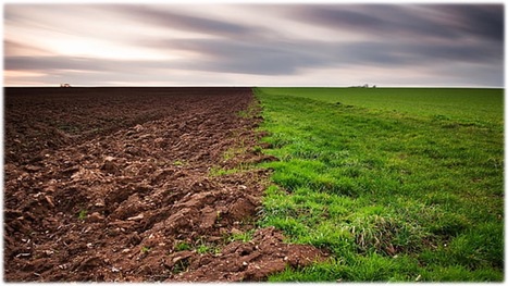 Review protocol in Environmental Evidence&nbsp;&bull; Dessureault-Rompr&eacute; Collaboration 2023 &bull; Are greenhouse gas fluxes lower from ley or perennial fallow than from arable organic soils? A systematic review ... | Collaborations | Scoop.it