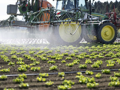 Etude: des pesticides décelés proches de cerveaux d’enfants | Think outside the Box | Scoop.it