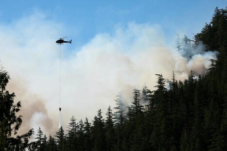 Au Canada, les provinces de l’Ontario et de la Colombie-Britannique désormais aussi menacées par d’intenses incendies | Biodiversité | Scoop.it