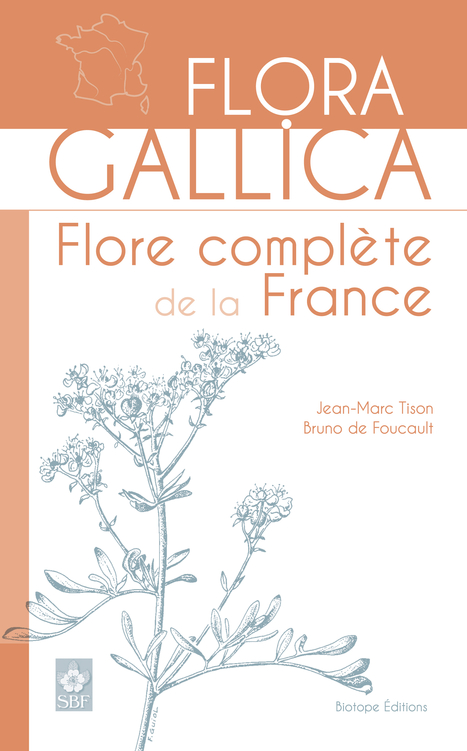 Sortie prochaine de "Flora Gallica﻿ - Flore complète de la France" | Insect Archive | Scoop.it