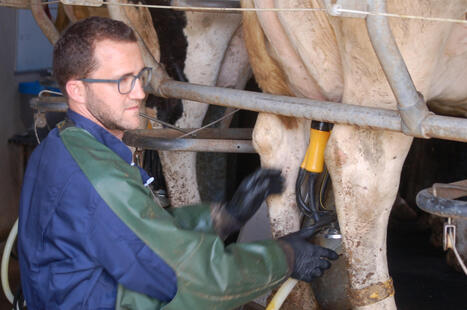 Les prix laitiers europ&eacute;ens en recul | Economie de l'Elevage | Scoop.it