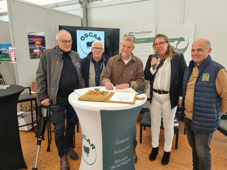 Valoriser les races ovines normandes : l'Oscar lance un nouveau logo et le label Ovin'Cité | Actualité Bétail | Scoop.it