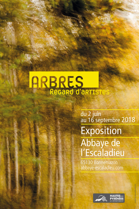 "Arbres - regards d'artistes" une exposition à l'Abbaye de l'Escaladieu  | Vallées d'Aure & Louron - Pyrénées | Scoop.it