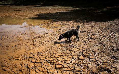 CHINA: Expects strongest super El Nino event on record this year | ASIES | Scoop.it