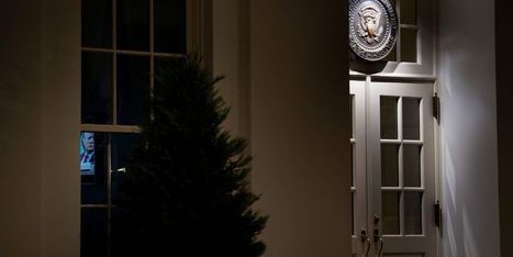 Money donated to Trump effort to overturn election loss in court flows to 'slush fund,' says campaign-finance pro - MarketWatch.com | Backstabber Watch | Scoop.it