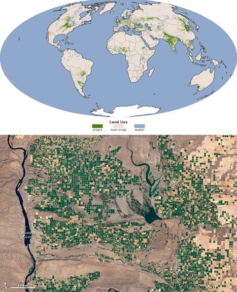Sustaining Seven Billion People | Stage 5 Sustainable Biomes | Scoop.it