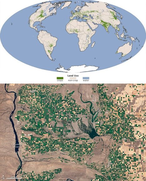Sustaining Seven Billion People | Futures Thinking and Sustainable Development | Scoop.it