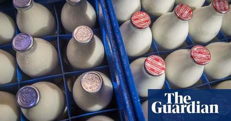 One in six pints of milk thrown away each year, study shows | Environment | The Guardian | Microeconomics: IB Economics | Scoop.it