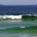 Western Australia implements shark 'bait and kill' zones | Soggy Science | Scoop.it