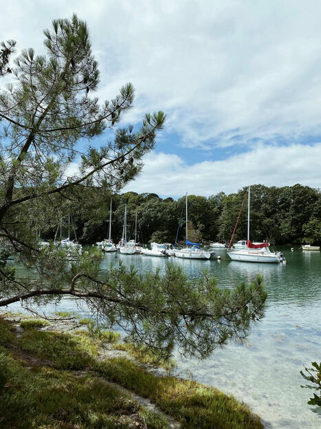 Comprendre les processus en jeu dans le phénomène de recul du trait de côte, un préalable indispensable pour une gestion durable du littoral dans un contexte de changement climatique. | Regards croisés sur la transition écologique | Scoop.it