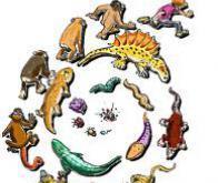Biologie : l'évolution peut aussi être lamarckienne ! | EntomoScience | Scoop.it