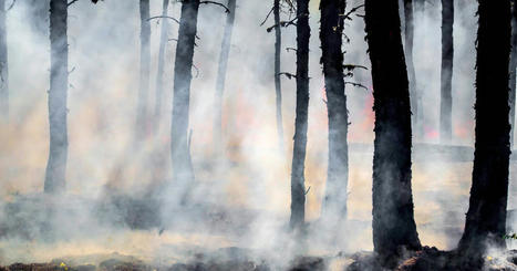 Air quality advisory issued due to out-of-control wildfires in central Newfoundland | SaltWire | Operation Deimos | Scoop.it