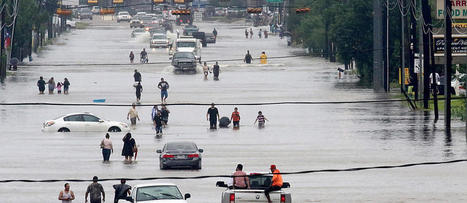 #Collapsologie | ou le #d&eacute;sastre mode d'emploi | RSE et D&eacute;veloppement Durable | Scoop.it