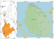Trace metal contamination, spatial distribution, and human health risks analysis in water resources of Manoka island, Douala basin, Cameroon - ScienceDirect | OPT - Eau Pour Tous - Water for All | Scoop.it