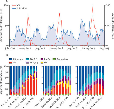 Interference between rhinovirus and influenza A virus: a clinical data analysis and experimental infection study | Mucosal Immunity | Scoop.it