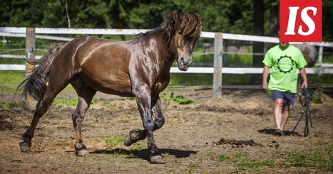Tiukka pillua saaminen perseestä mukaan iso kalu