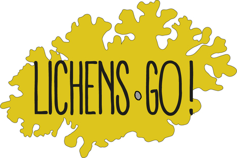 Suivre la pollution en ville grâce à Lichens Go !  | Biodiversité | Scoop.it