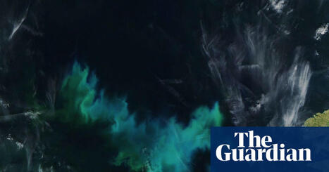Marine heatwaves to become more frequent off UK and Irish coasts, experts say | Oceans | The Guardian | Coastal Restoration | Scoop.it
