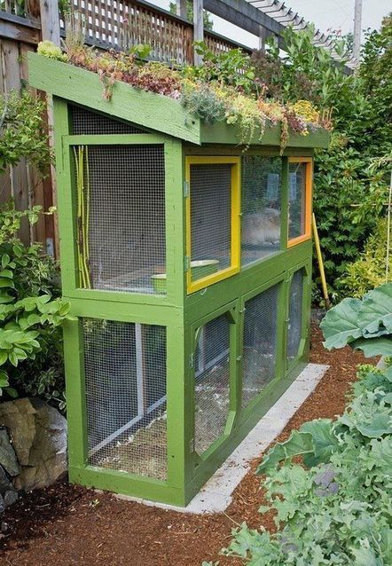 Make the most of your chicken coop | Gardening Life | Scoop.it