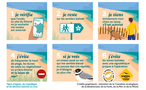 Attention, on marche sur des &oelig;ufs revient pour une 7e &eacute;dition ! Conservatoire du littoral | Biodiversit&eacute; | Scoop.it