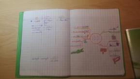 Une carte mentale pour préparer une dictée | Français, langue d'enseignement | Scoop.it