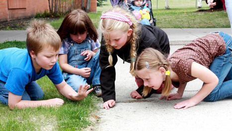 What Makes School in Denmark Better (and What We Can Learn from Them) | Teaching: Best practice ideas | Scoop.it