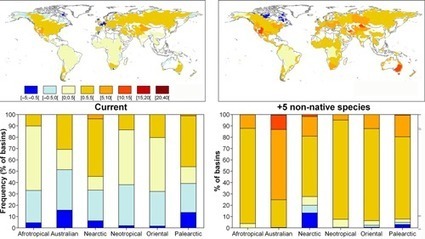 Vers une homogénéisation des communautés de poissons d’eau douce ? CNRS - Institut écologie et environnement | Biodiversité | Scoop.it