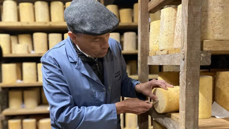 DURABILITES : Canicule, alerte rouge sur les fromages AOP | DURABILITES | Scoop.it