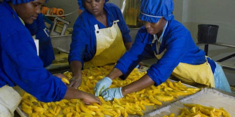 MAROC : Agroalimentaire en Afrique subsaharienne : adapter l’offre marocaine à la demande locale | CIHEAM Press Review | Scoop.it