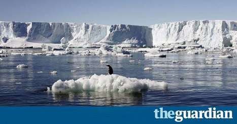 Global warming doubles growth rates of Antarctic seabed's marine fauna – study | Antarctica | Scoop.it