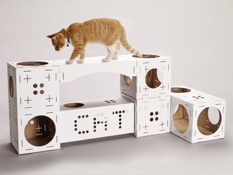 Avec BLOCKS, créez une villa cartonnée pour votre chat | 16s3d: Bestioles, opinions & pétitions | Scoop.it