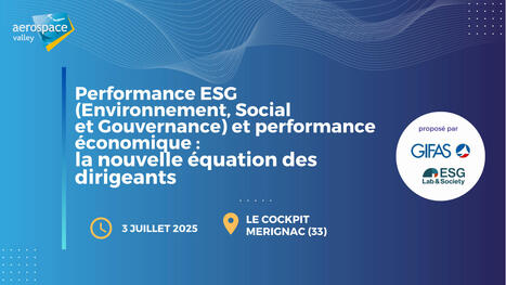 Performance ESG (Environnement, Social et Gouvernance) et performance économique : la nouvelle équation des dirigeants | Aerospace Valley | Aerospace & Mobility | Scoop.it