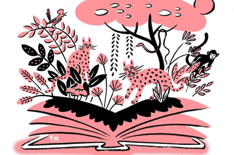 Em um ter&ccedil;o das escolas n&atilde;o h&aacute; a&ccedil;&otilde;es de educa&ccedil;&atilde;o ambiental - 12/01/2026 - Educa&ccedil;&atilde;o - Folha | Inova&ccedil;&atilde;o Educacional | Scoop.it