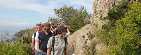 Ateliers de formation 2017 "Esprit parc national, Port Cros"&nbsp; | Biodiversit&eacute; | Scoop.it