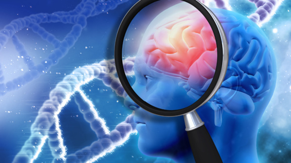 Le cerveau peut rester jeune à 80 ans : l’énigme des “SuperAgers” enfin décryptée | Aidants | Scoop.it