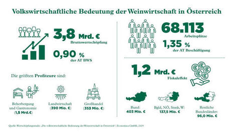 Weinwirtschaft in Österreich: Studie beleuchtet wirtschaftliche Kraft des Weinbaus | (Macro)Tendances Tourisme & Travel | Scoop.it