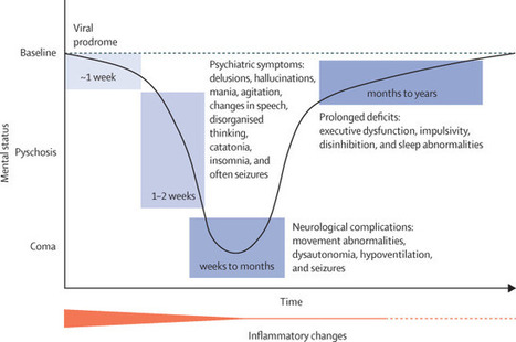 An update on anti-NMDA receptor encephalitis for neurologists and psychiatrists: mechanisms and models | AntiNMDA | Scoop.it